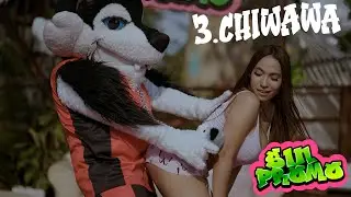 3 - CHIWAWA | EL PEPO | SIN PROMO (VISUALIZER)