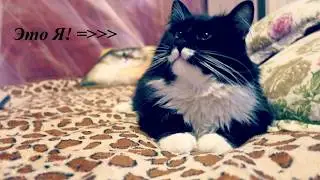 Приветствие от Матюши! / Please Welcome Мatyusha!