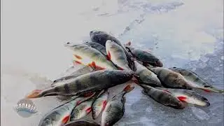 Поплавок Рыбалка на реке Селенга