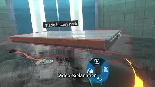 BYD Dolphin VR Lecture Hall