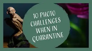10 Home Photography challenges when you are stuck at home - ideas during Quarantine