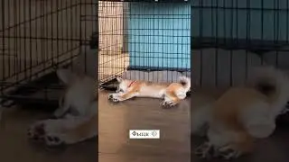 МАРТИ СДЕЛАЛ ЭТО ПРИ ЭДИСОНЕ?
