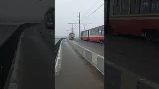 Питерский трамвай🚠🚟🚡