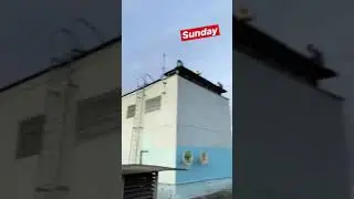 Мои будни дни ☺️