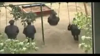 Свои качели качают каждого....flv