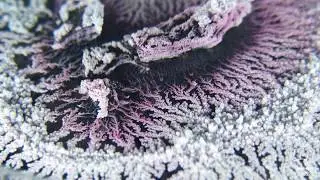 Incredible Red universe / Dendrites World - Crystalised coral world III