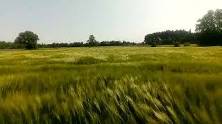 Przestwór suchego oceanu