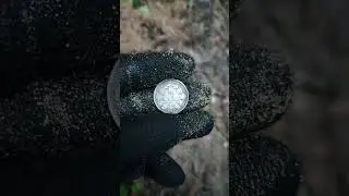 Копаем КЛАД Серебра в ЖАРУ 30+ #metaldetecting
