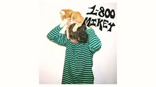 1​-​800 Mikey - Digital Pet (2024 / full album)