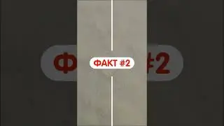 Стало кисло через экран 😝 