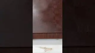 Damn That’s Sexy