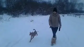 Вано, Надюха, Маша и Джек - 2024.01.05 - 16.46.37
