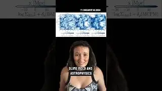 Part 2: astronomy slime mold?! #astrophysics #shorts