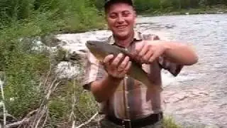 Хариус на удочку р.Чикокон