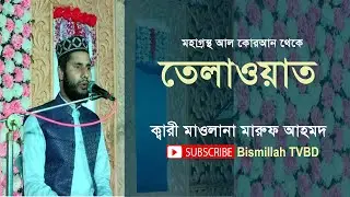 হৃদয় জুড়ানো তেলাওয়াত। QARI MARUF AHMED । BISMILLAH TVBD