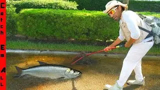 I Found FISH SWIMMING in the STREET after OCEAN FLOODING!
