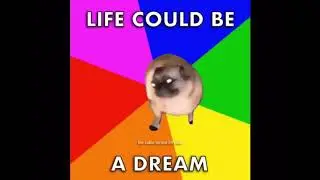 LIFE COULD BE A DREAM