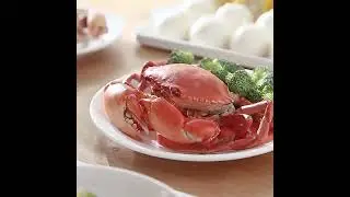 home appliances. smart homes. smart gadget. smart kitchen.