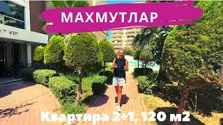 Недвижимость в Турции. Квартиры в Алании, Махмутлар