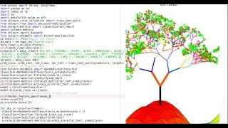Build Random Forest in Python