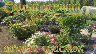 #Обзор