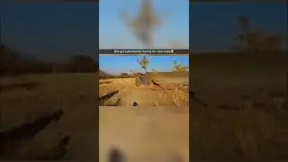 I think it ded instantly 😭 