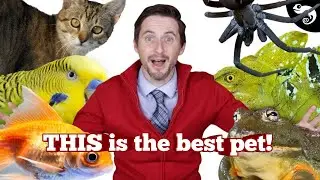 The Best Pet REVEALED!