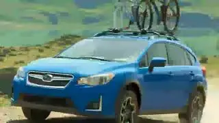 AMAZING !! 2019 SUBARU FORESTER REDESIGN