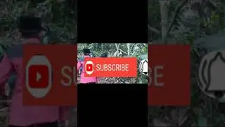 Jalan menuju pemakaman gunung payung