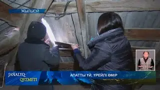 АПАТТЫ ҮЙ, ҮРЕЙЛІ ӨМІР
