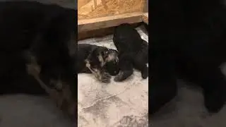 Манюни🥰🥰🥰 
