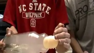 Raw Egg In A Bottle