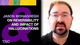 ACCLAB Jason Mohaghegh on Reversibility and Impact of Hallucinations