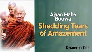 Shedding Tears In Amazement | Dhamma Talk Ajahn Maha Boowa