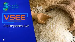 Сортировка риса на ФОТОСЕПАРАТОРЕ VSEE
