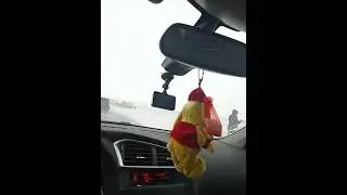 29 января 2021 г.