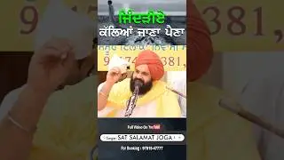 ਜਿੰਦੜੀਏ ਕੱਲਿਆ ਈ ਜਾਣਾ ਪੈਣਾ …#waheguru #shorts #viral #punjabireels #trending #wmk #khalsa #punjabi