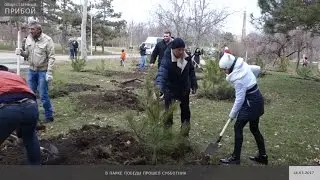 В парке Победы прошел субботник