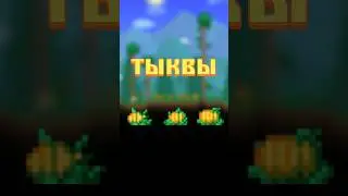 ДЛЯ ЧЕГО НУЖНЫ ТЫКВЫ В TERRARIA!!! 
