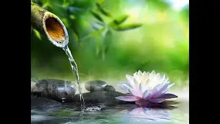 Relaxing Piano Music:Romantic Music,Beautiful Relaxing Music,Sleep Music,Stress Relief.