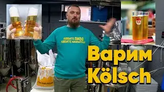 Варим освежающий Kölsch на солоде Bindewald Варим Кельш