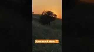 Красивый осенний закат😍 