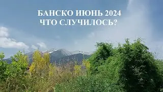 БАНСКО. ИЮНЬ 2024. СЛУЧИЛАСЬ ЖАРА