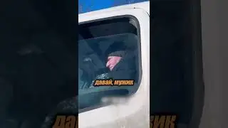 You shouldn't do this in a traffic jam!