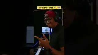 These Sounds! 🎹🔥🤯 |Peculiar Sounds VST|