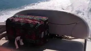 Montenegro Anastasia