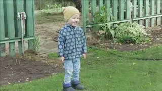 Копаем картошку. Внук - первый помощник.