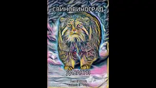 Свиновиноград - Даванул