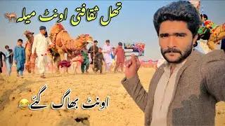 Thal Sakafti Mela🐫 Maza Agaya 🙃 #aslibhaiya #vlogs #trending #mela