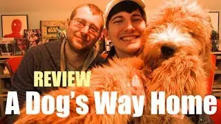 A Dog's Way Home Review